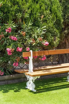 Jardín al aire libre en Bungalows Las Almenas