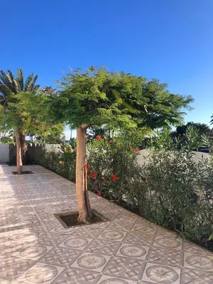 Jardín al aire libre en Bungalows Las Almenas