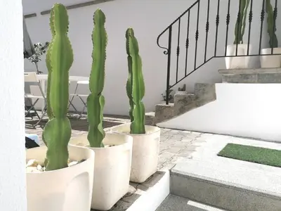 Plano de Apartamento * Estudio Orobanca