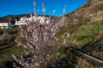 Paisaje cerca of this country house