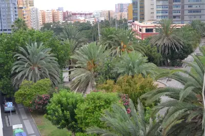 Jardín al aire libre en FABULOSO Penthouse LAS PALMAS
