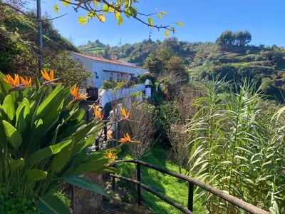 Jardín al aire libre en BELLA DORAMAS Casas Rurales Panchita & Millo