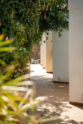Plano de Apartamentos Halley