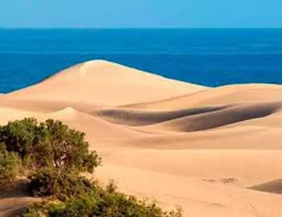 Paisaje cerca de este apartamento