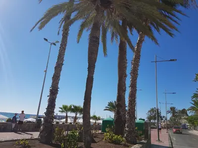 Paisaje cerca de este apartamento