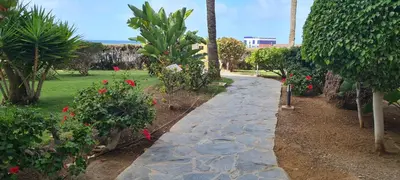 Jardín al aire libre en La Lajilla Arguineguin