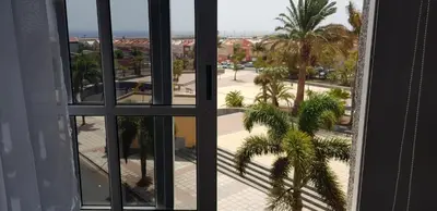 Plano de Vacacional Tegueste 2ºB