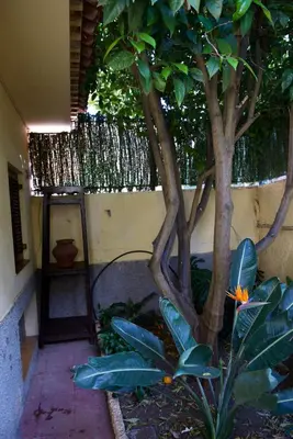 Jardín al aire libre en Casa Rural de Tío Félix