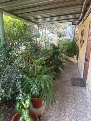 Jardín al aire libre en Casa Elisa Canarias