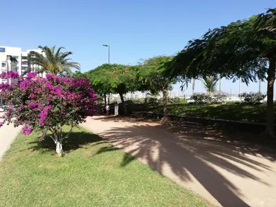 Jardín al aire libre en Apartamento La Marina-Ciudad Jardin