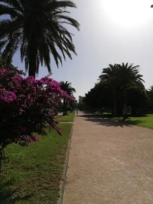 Jardín al aire libre en Apartamento La Marina-Ciudad Jardin