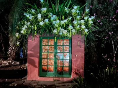 Jardín al aire libre en La Casa del Molino de Viento