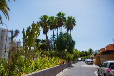 Jardín al aire libre en Calle Lanzarote 29C