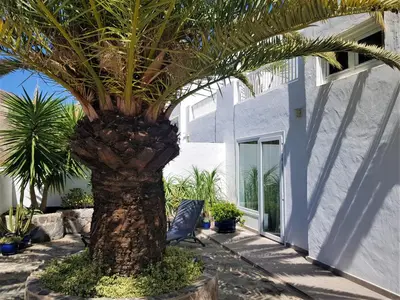 Jardín al aire libre en Casa La Palmera - Holiday house close to the beach