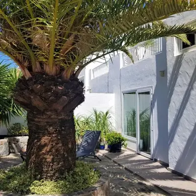 Casa La Palmera - Holiday house close to the beach