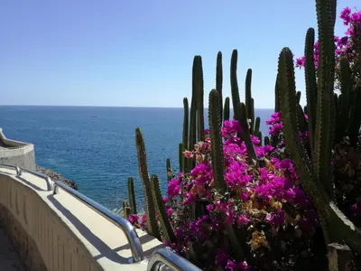 Paisaje cerca de este apartamento