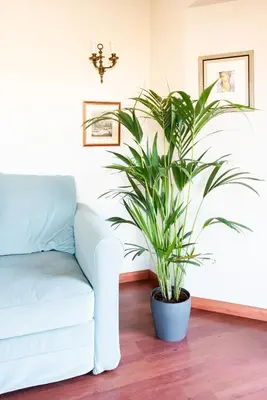 Zona de estar de Luxury Country & Rural Villa Santa Brigida Las Palmas