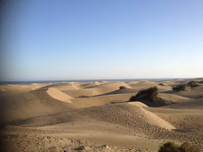 Paisaje cerca de este apartamento