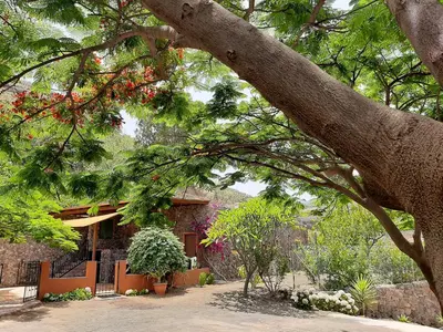 Jardín al aire libre en Peaceful house set on a vineyard & work friendly