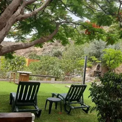 Peaceful house set on a vineyard & work friendly