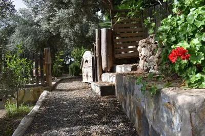 Jardín al aire libre en ROMANTICA