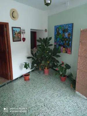 Plano de Lagarto