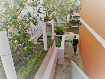 Jardín al aire libre en APARTAMENTO LEMMON TREE
