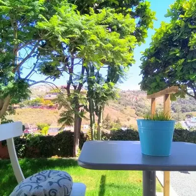 APARTAMENTO LEMMON TREE