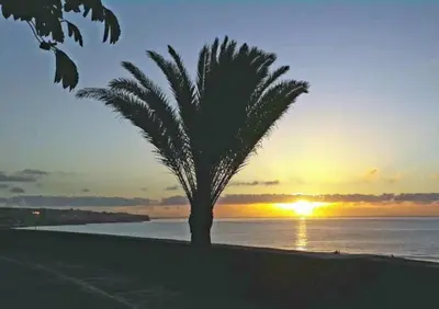 Paisaje cerca de este apartamento