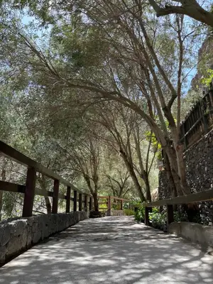 Paisaje cerca of this country house