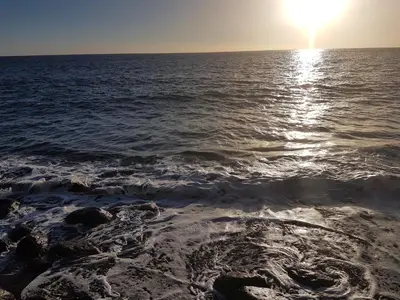 Paisaje cerca de este apartamento