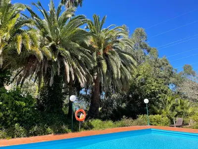 Piscina en o cerca de Dúplex de invitados en medio del bosque