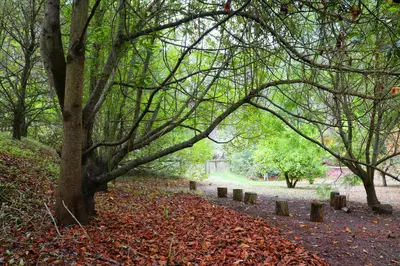 Jardín al aire libre en Dúplex de invitados en medio del bosque