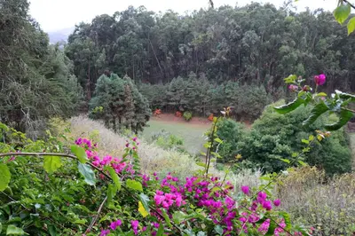 Jardín al aire libre en Casa Rural en medio del bosque, El Lance
