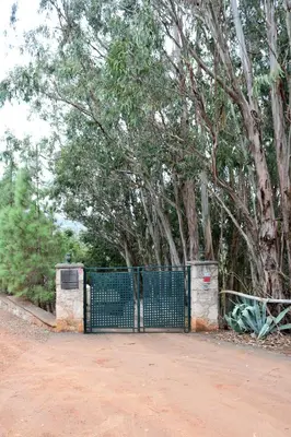 Plano de Casa Rural en medio del bosque, El Lance