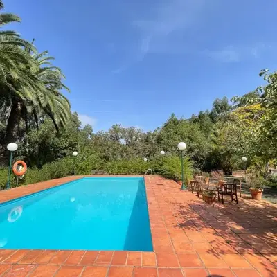 Casa Rural en medio del bosque