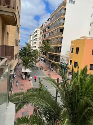 El barrio de los alrededores o un barrio cerca de este apartamento