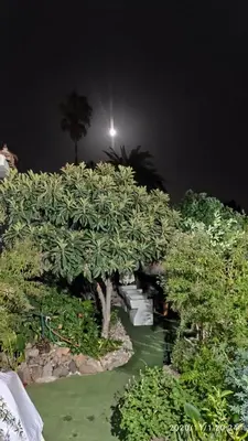 Jardín al aire libre en Siempreviva