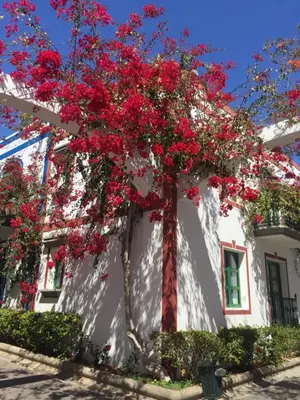 Jardín al aire libre en Captains House Playa De Mogan by El Sirocco