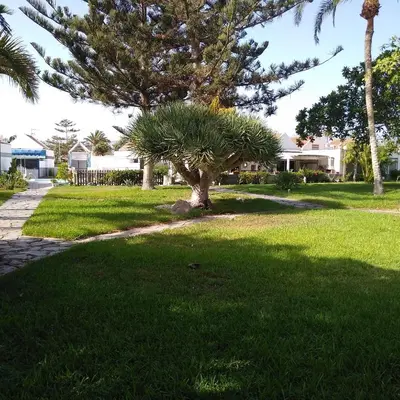 Jardín al aire libre en Villa maravillosa