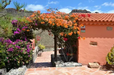 Jardín al aire libre en Finca Las Olivas - Unique country house with heated pool