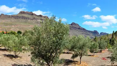 Paisaje cerca de esta casa o chalet
