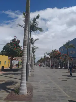 El barrio de los alrededores o un barrio cerca de este apartamento