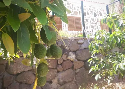 Plano de Casas Blancas -Suites 2y3- R E L A X
