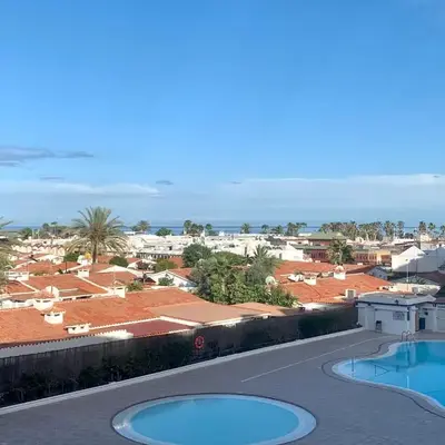 Tamarán 309