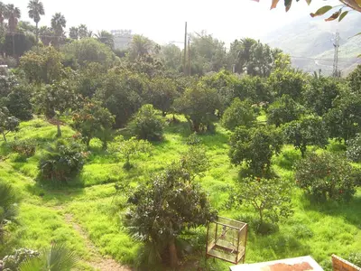 Paisaje cerca de este apartamento