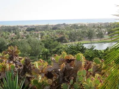 Paisaje cerca de este apartamento