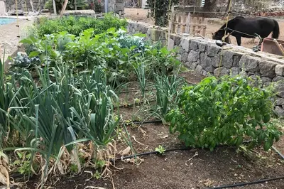 Jardín al aire libre en Casita Bioclimatica en el campo