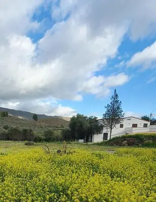 Paisaje cerca de esta casa o chalet