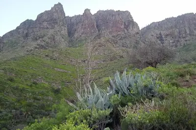 Paisaje cerca de este apartamento